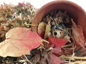 Hedgehog in a Pot